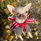 PawSideDown™ - Pet Accesory