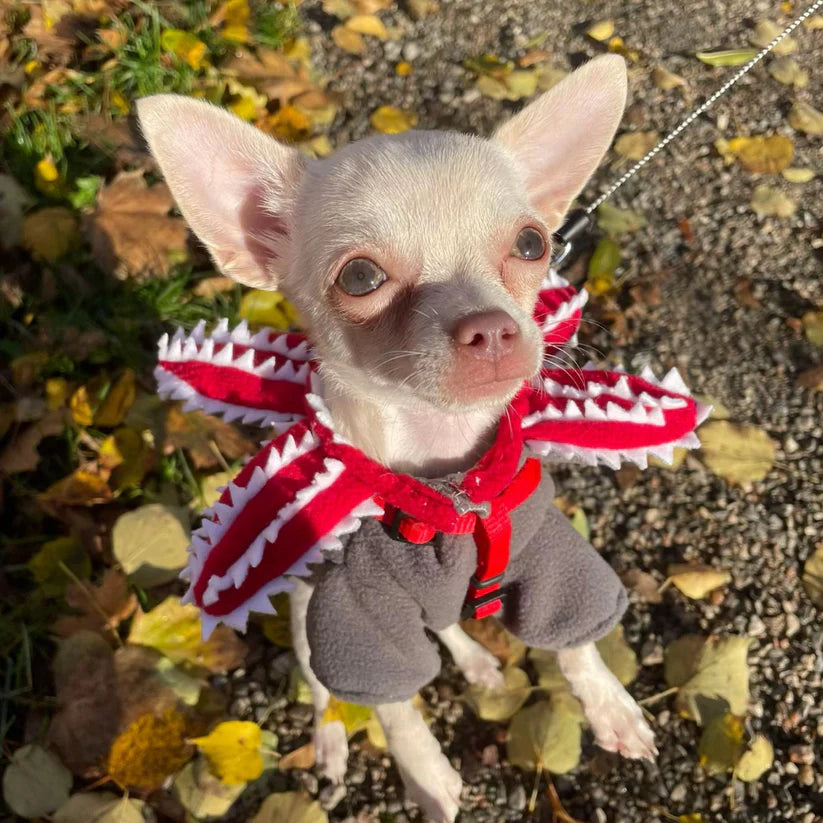 PawSideDown™ - Pet Accesory